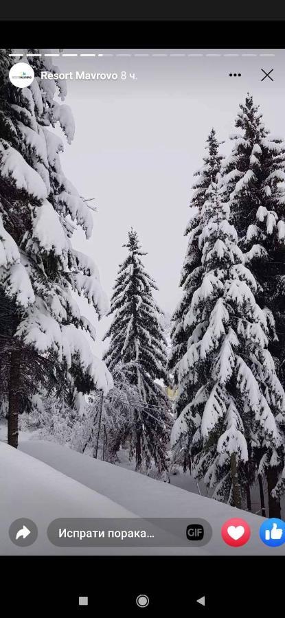 Mavrovo Forest Apartments Buitenkant foto