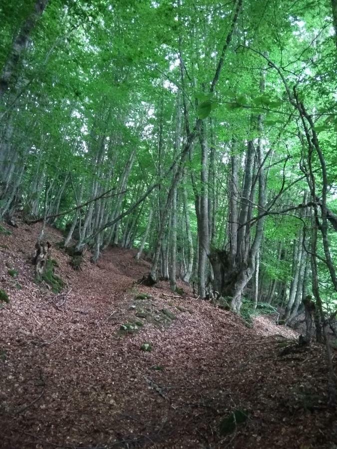 Mavrovo Forest Apartments Buitenkant foto